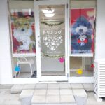 Shop View 1